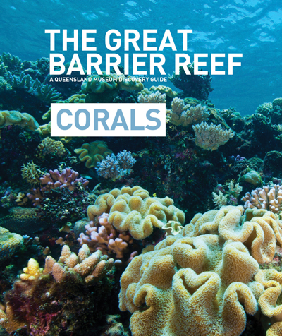 The Great Barrier Reef – Corals (A Queensland Museum Discovery Guide ...